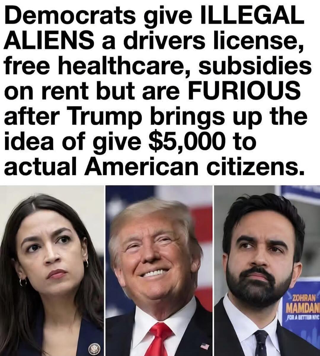 Democrats give ILLEGAL ALIENS a drivers license, free healthcare, subsidies on rent but are FURIOUS after Trump brings up the idea of give $5,000 to actual American citizens.