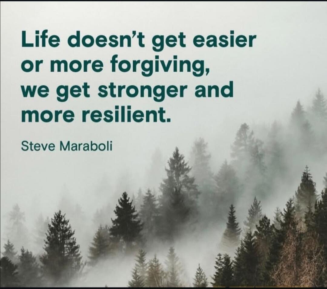 Life doesn't get easier or more forgiving, we get stronger and more resilient. Steve Maraboli