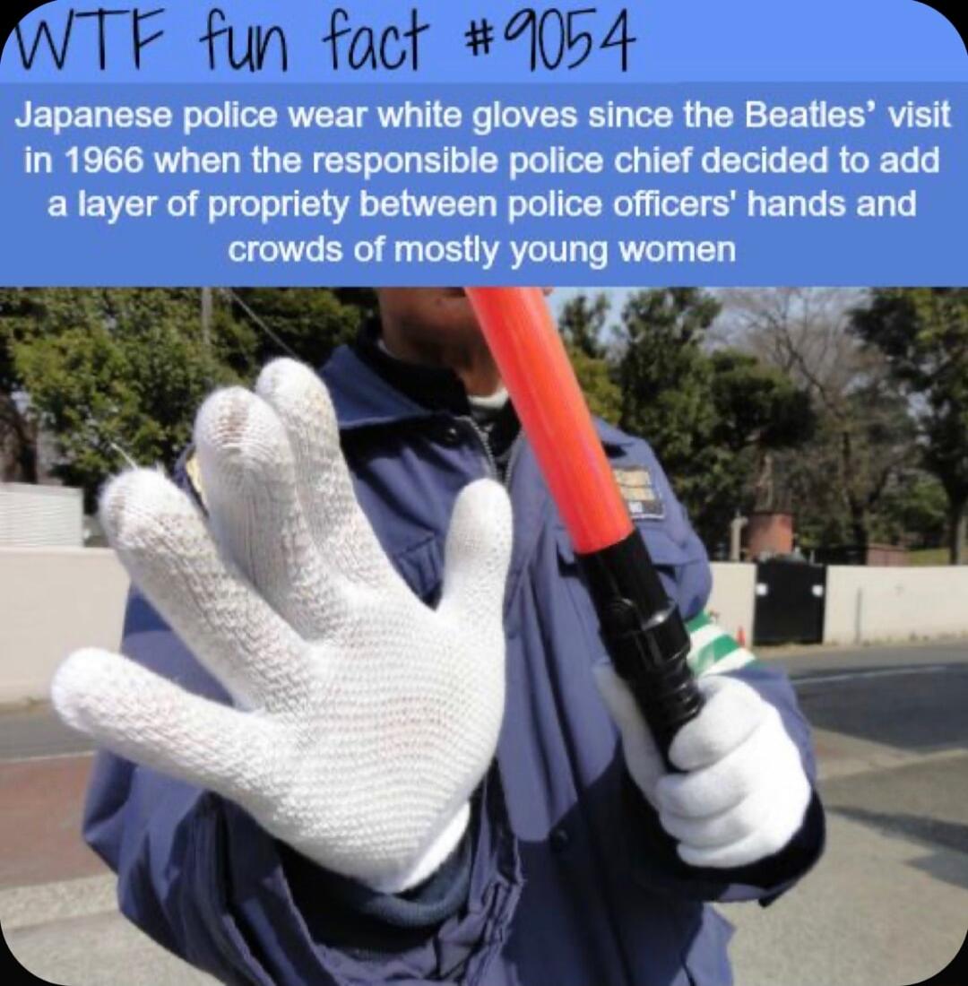 BELEDEEERL L ERVEE TR RS DV WER L Y EET RV S in 1966 when the responsible police chief decided to add a layer of propriety between police officers hands and crowds of mostly young women 4