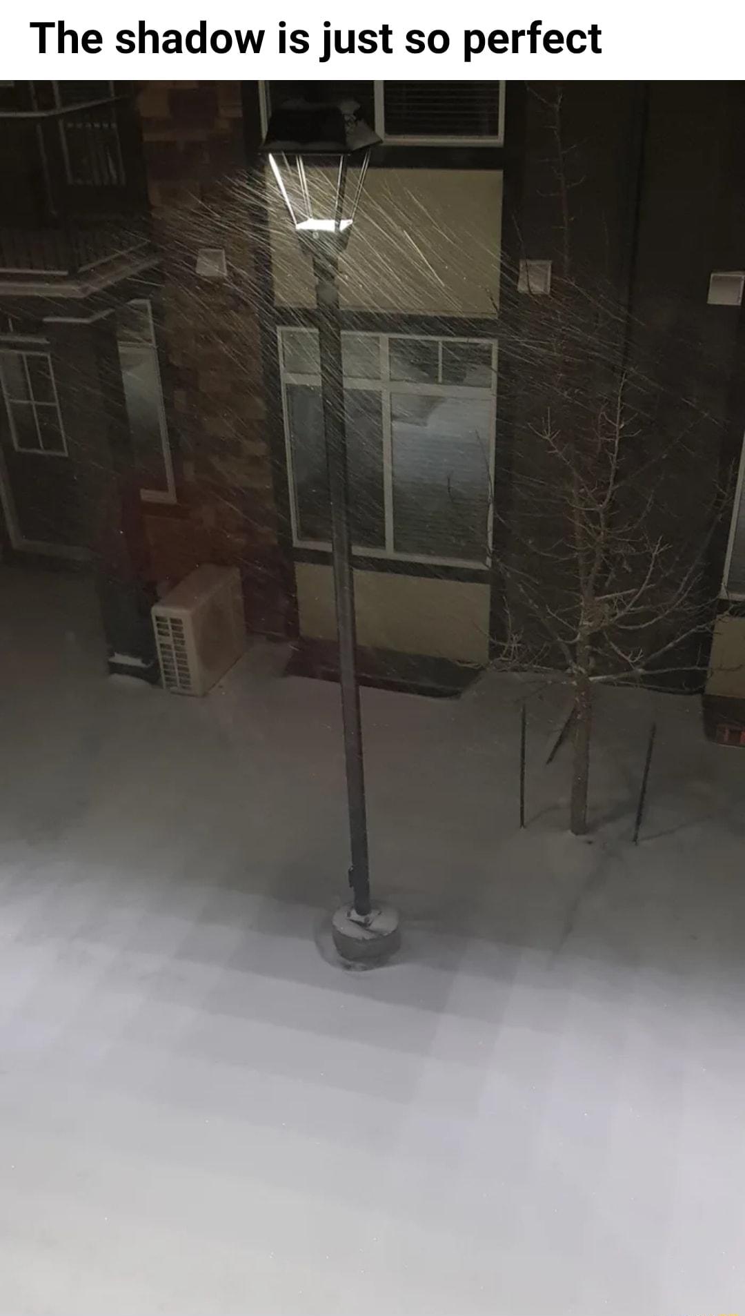 The shadow is just so perfect