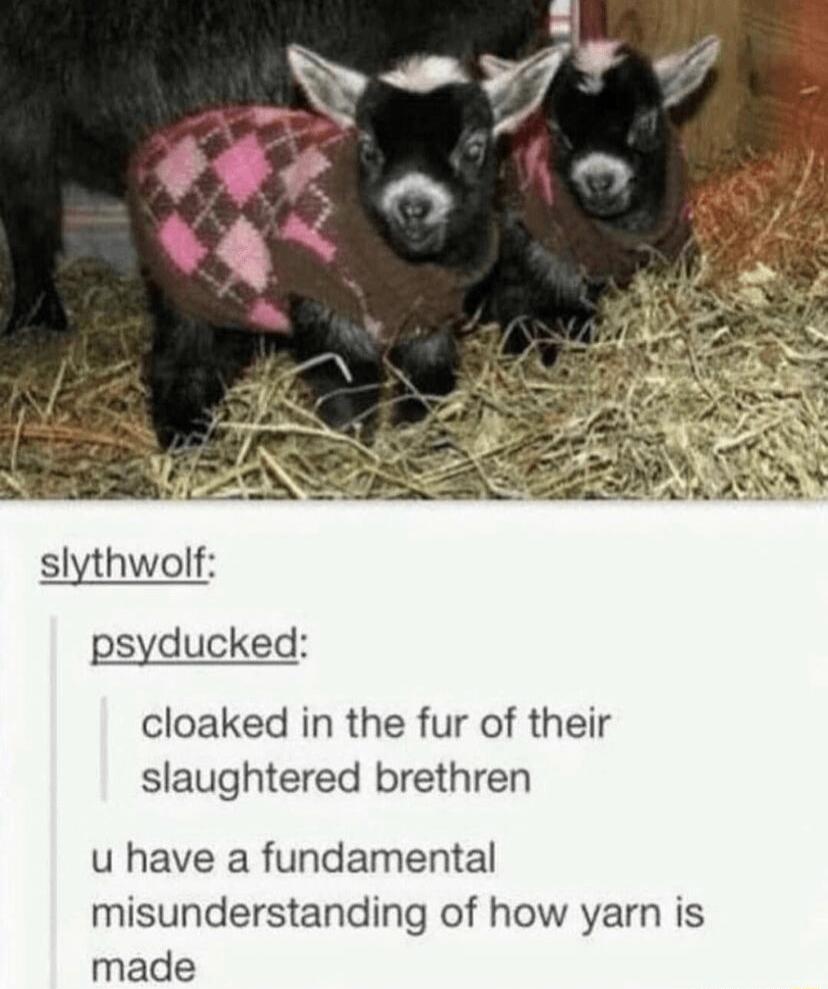 slythwolf psyducked cloaked in the fur of their slaughtered brethren u have a fundamental misunderstanding of how yarn is made