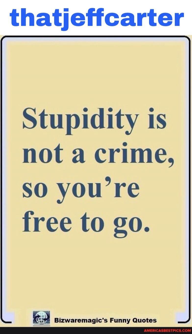 Stupidity is not a crime, so you're free to go.