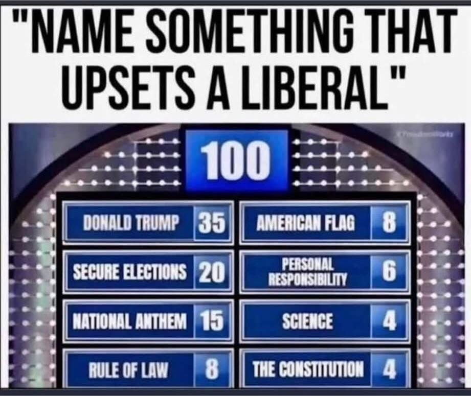 NAME SOMETHING THAT UPSETS A LIBERAL 100 DONALD TRUMP 35 AMERICAN FLAG 8 SECURE ELECTIONS 20 PERSONAL RESPONSIBILITY 6 NATIONAL ANTHEM 15 SCIENCE 4 RULE OF LAW 8 THE CONSTITUTION 4