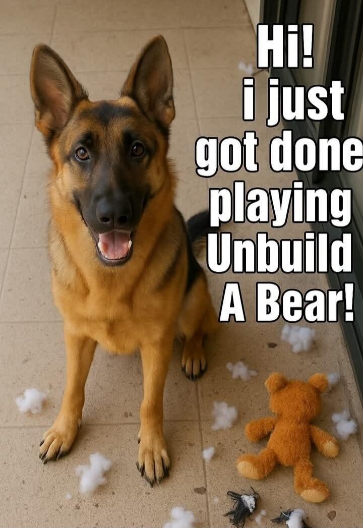 Hi! i just got done playing Unbuild A Bear!
