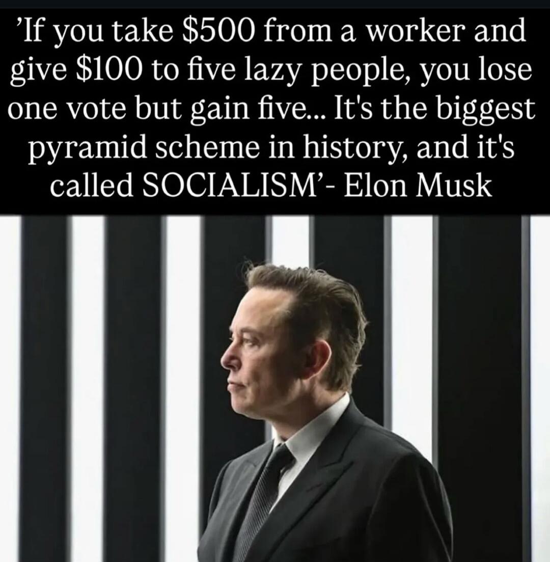 'If you take $500 from a worker and give $100 to five lazy people, you lose one vote but gain five... It's the biggest pyramid scheme in history, and it's called SOCIALISM'- Elon Musk