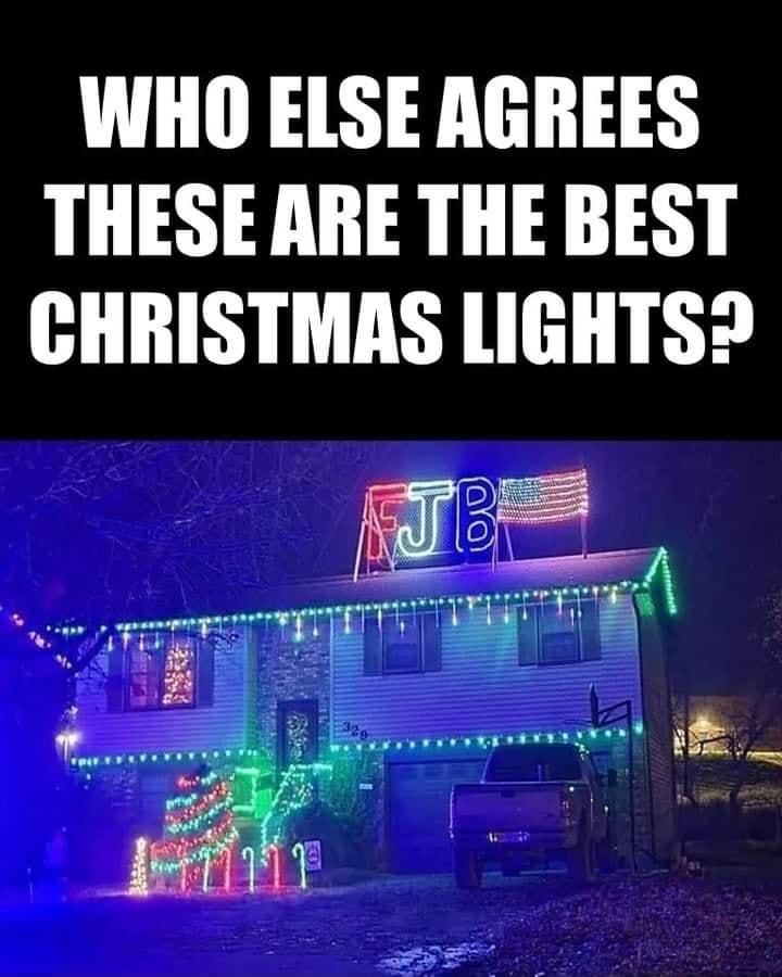 WHO ELSE AGREES THESE ARE THE BEST CHRISTMAS LIGHTS