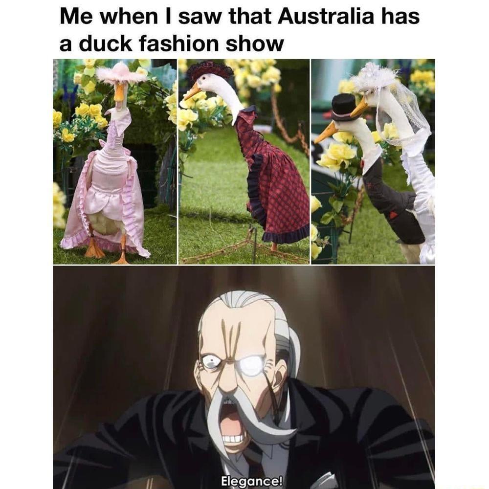 Me when saw that Australia has a duck fashion show
