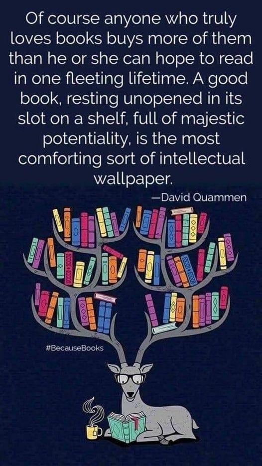 Of course anyone who truly VS ofele S o8 pgle cXeli 1 aTa0 aETaNalWol S al Ner g N alolo R TN Lo TaRelalRi t ilale i Yilgal W Welolele olele S ilale WgleelTalTe Mg IS slot on a shelf full of majestic potentiality is the most elnnifelgilgleRelgRa Mgl IAMBEL wallpaper David Quammen