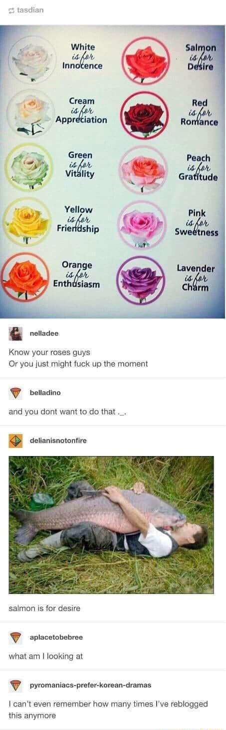 White ot Innotence Cream R x i 08 Apprciation wZnu Orange Enthdsiasm rovadee Know your roses guys Or you just might fuck up the moment belladino and you dont want to do that _ B cetianisnotontire salmon is for desire aplacetobebree what am looking at pyromaniacs prefer korean dramas cant even remember how many times Ive reblogged this anymore