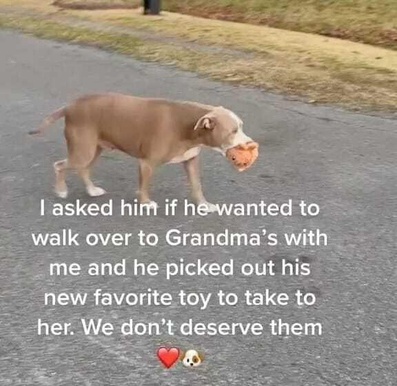 NA asked him if hwanted to walk over to Grandmas with _me and he picked out his new favorite toy to take to her We dont deserve them s 1872