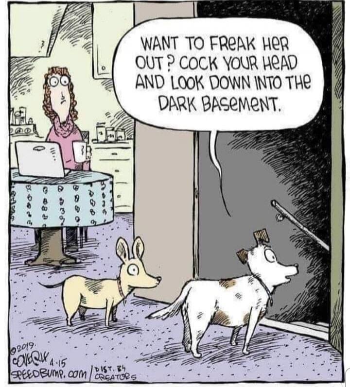 WANT TO FREAK HER OUT? COCK YOUR HEAD AND LOOK DOWN INTO THE DARK BASEMENT.