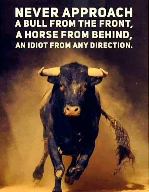 NEVER APPROACH A BULL FROM THE FRONT, A HORSE FROM BEHIND, AN IDIOT FROM ANY DIRECTION.