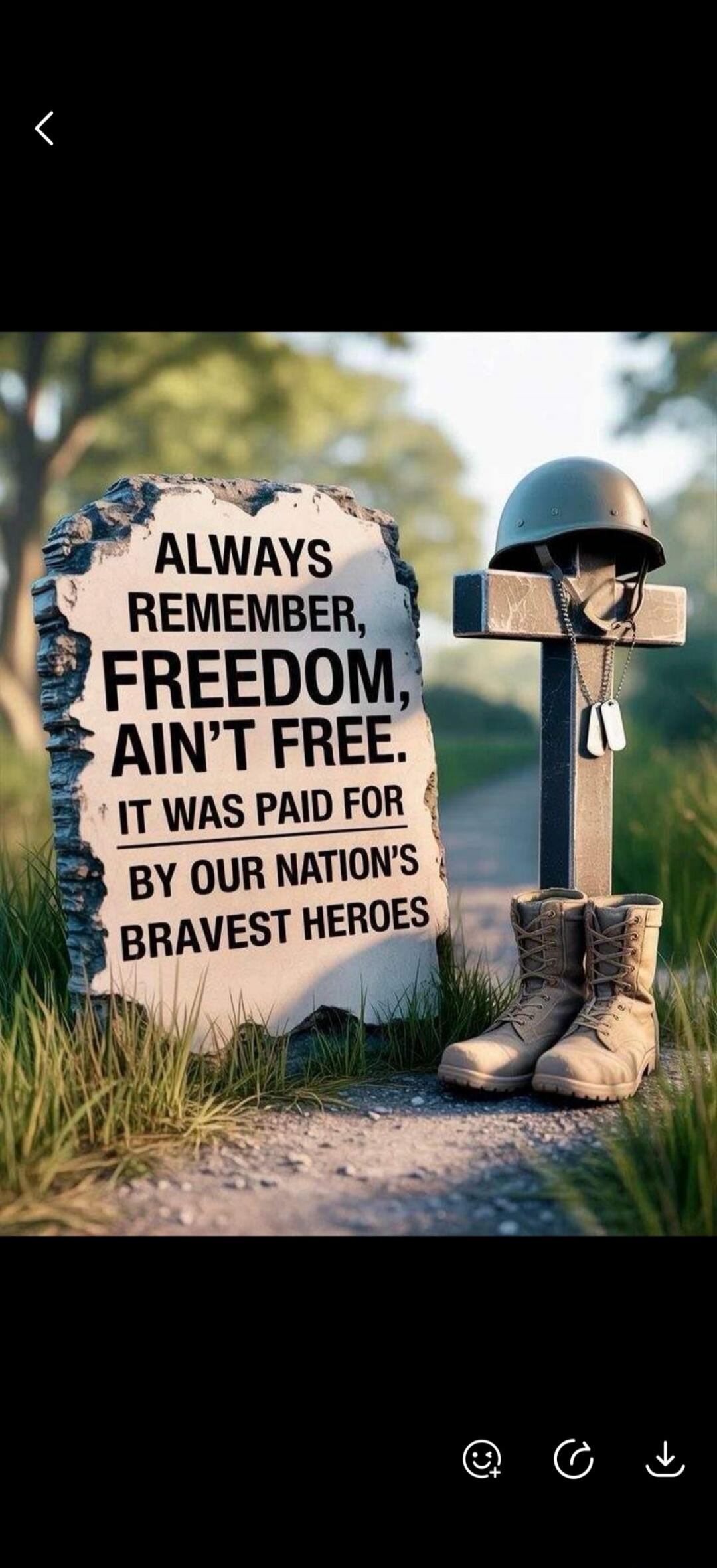 ALWAYS REMEMBER, FREEDOM, AIN'T FREE. IT WAS PAID FOR BY OUR NATION'S BRAVEST HEROES