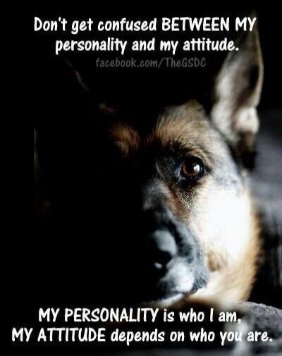 Don't get confused BETWEEN MY personality and my attitude. 
MY PERSONALITY is who I am. MY ATTITUDE depends on who you are.