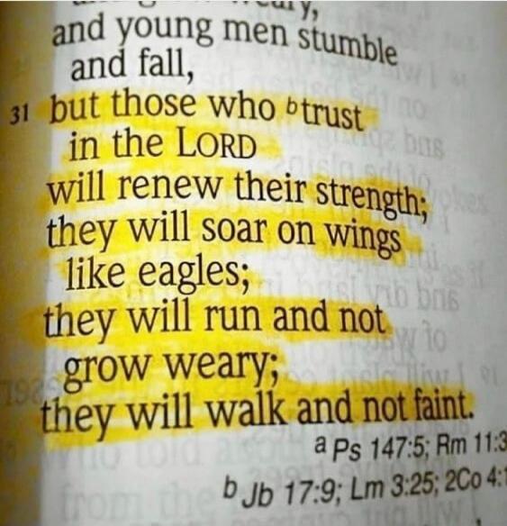 and young men stumble and fall, but those who trust in the LORD will renew their strength; they will soar on wings like eagles; they will run and not grow weary; they will walk and not faint.
