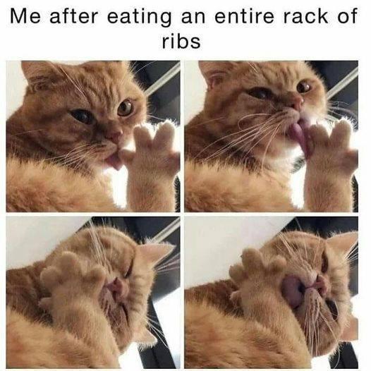 Me after eating an entire rack of ribs