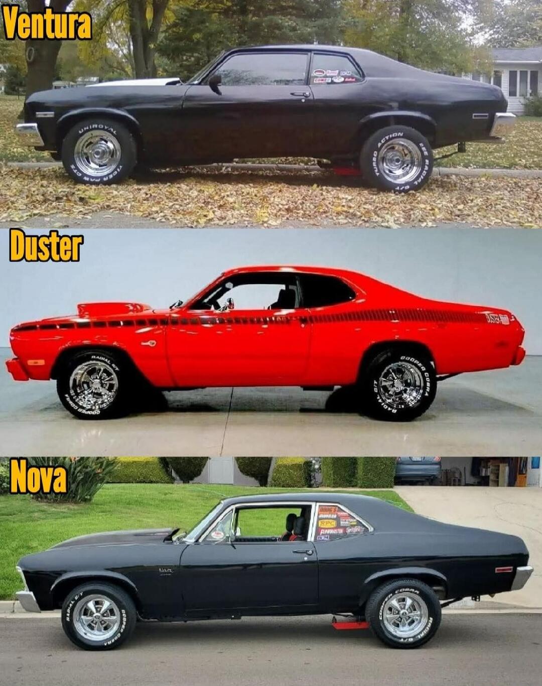 Ventura
Duster
Nova