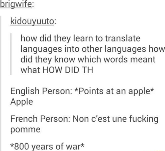 brigwife kidouyuuto how did they learn to translate languages into other languages how did they know which words meant what HOW DID TH English Person Points at an apple Apple French Person Non cest une fucking pomme 800 years of war