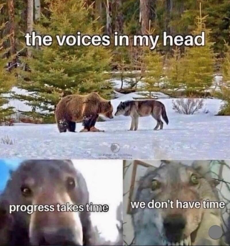 the voices in my head progress takes time we don't have time