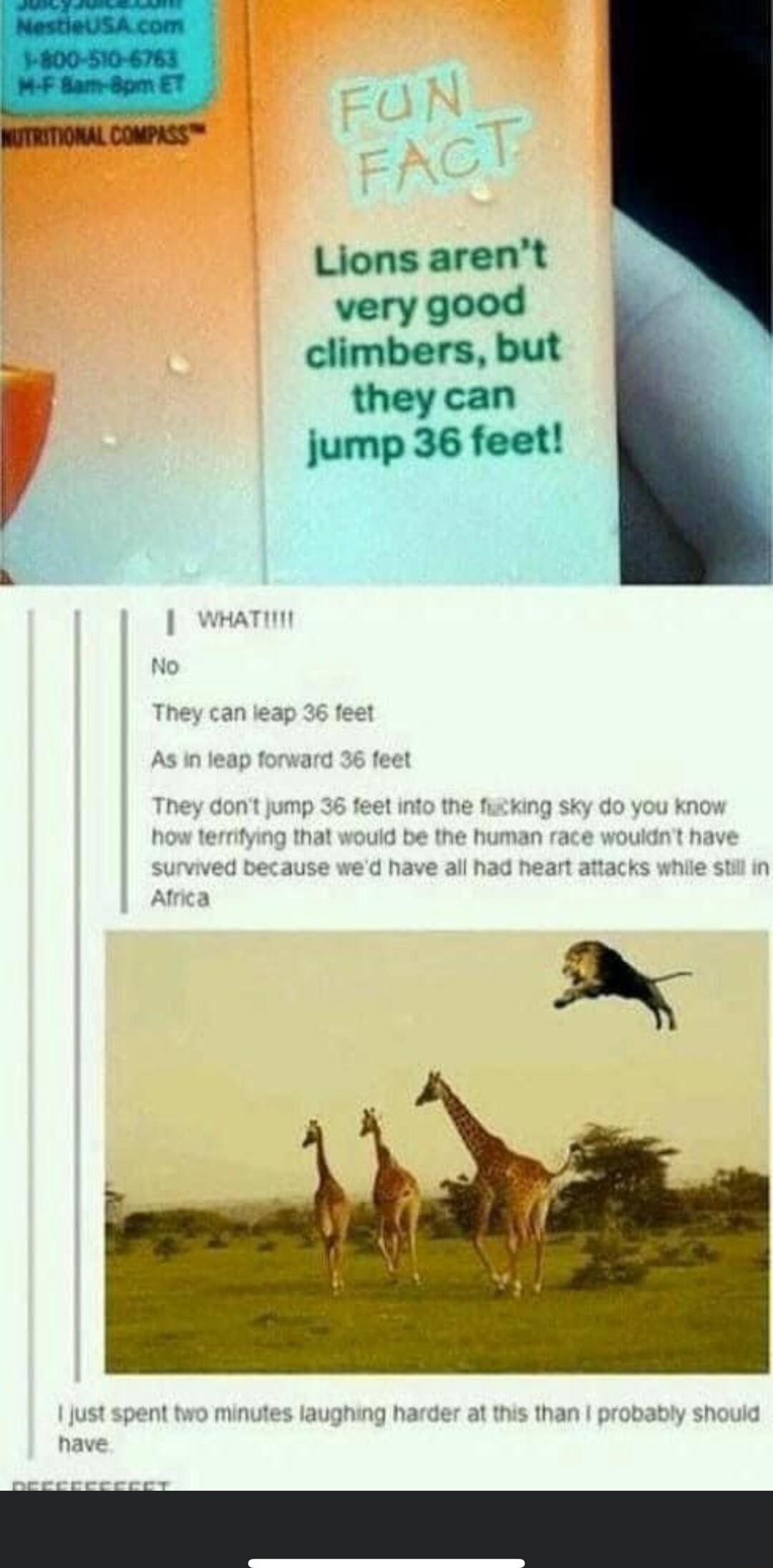 Lions arent very good climbers but theycan jump 36 feet