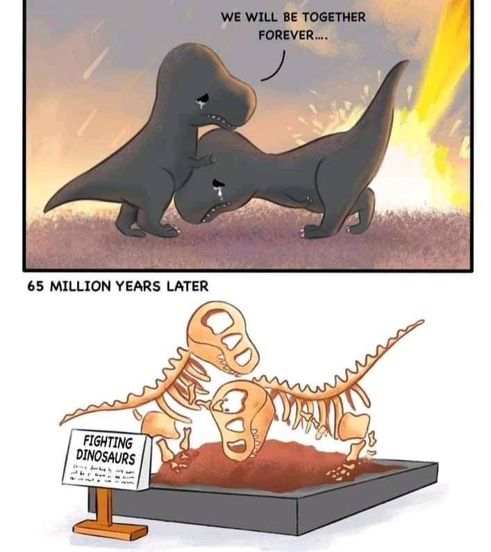 65 MILLION YEARS LATER