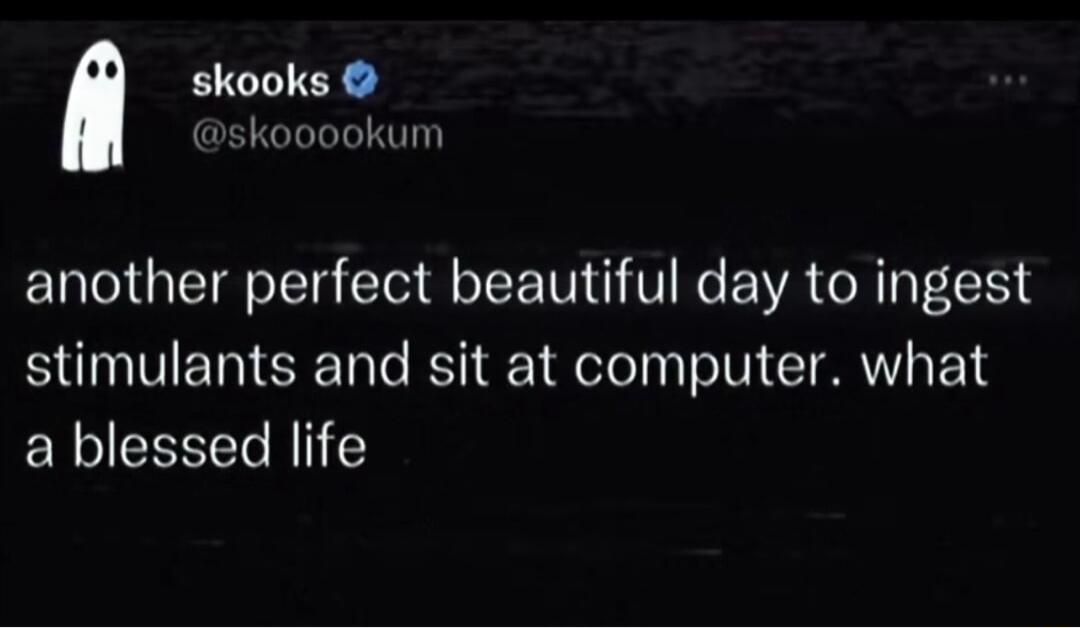 skooks skooookum another perfect beautiful day to ingest stimulants and sit at computer what a blessed life