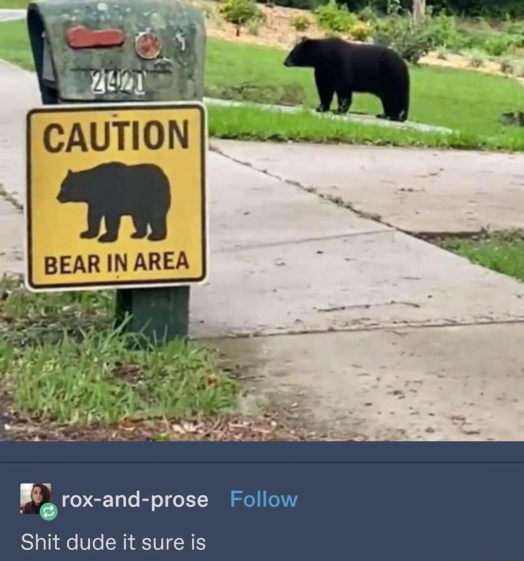 e rox and prose Follow Shit dude it sure is