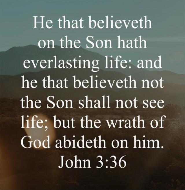 He that believeth on the Son hath everlasting life: and he that believeth not the Son shall not see life; but the wrath of God abideth on him. John 3:36