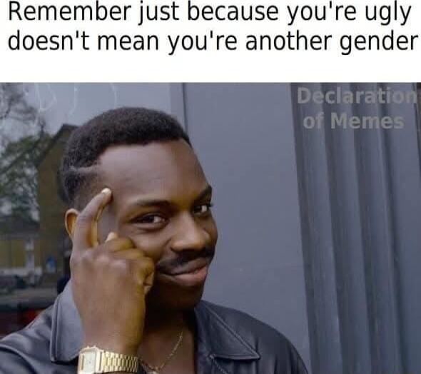 Remember just because youre ugly doesnt mean youre another gender