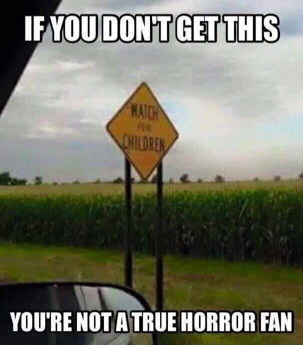 IF YOU DON'T GET THIS WATCH FOR CHILDREN YOU'RE NOT A TRUE HORROR FAN
