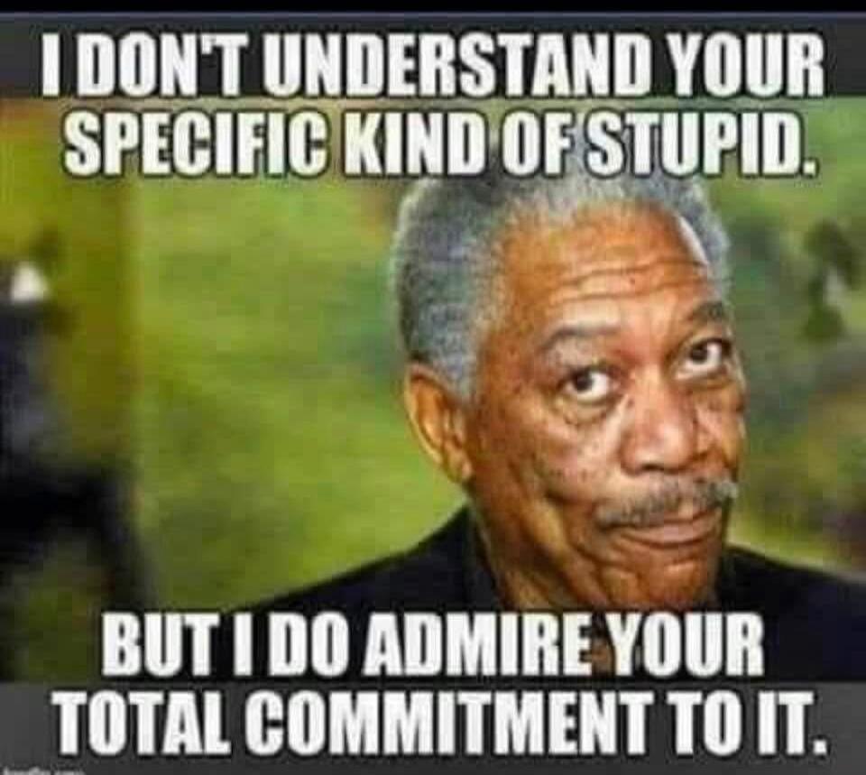 I DON'T UNDERSTAND YOUR SPECIFIC KIND OF STUPID. BUT I DO ADMIRE YOUR TOTAL COMMITMENT TO IT.