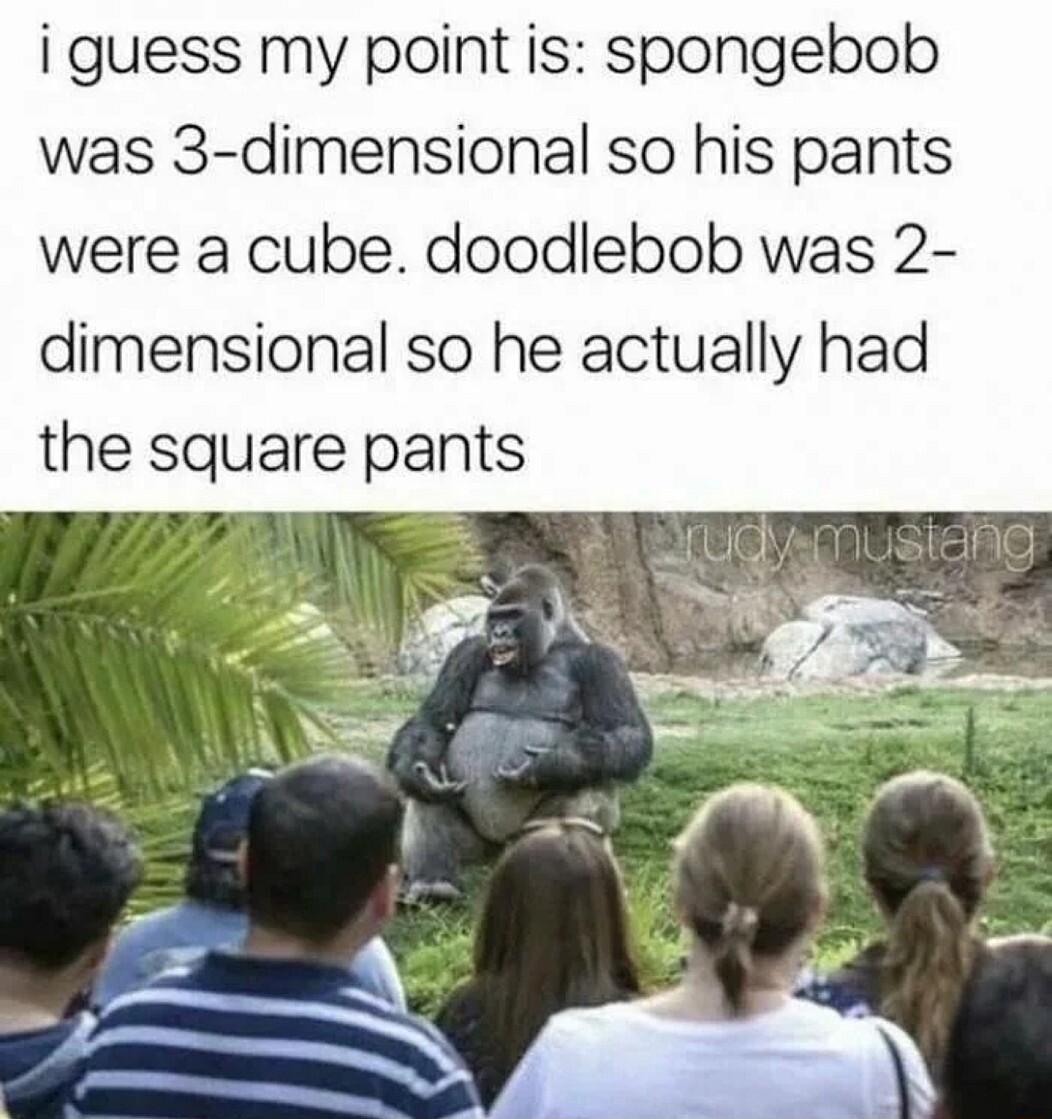 i guess my point is spongebob was 3 dimensional so his pants were a cube doodlebob was 2 dimensional so he actually had the square pants