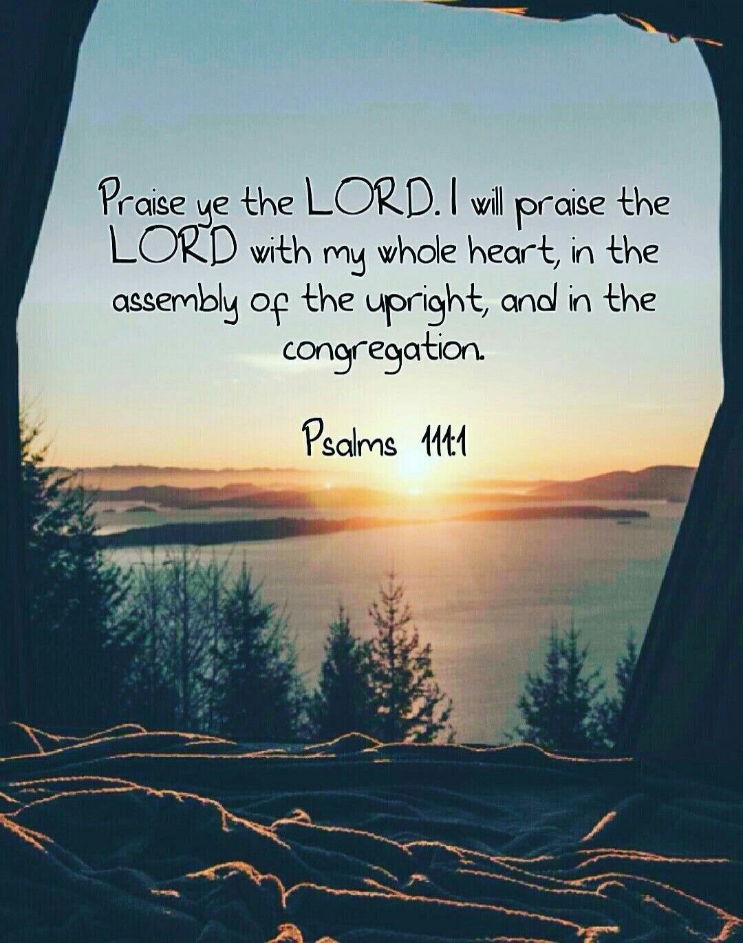 Praise ye the LORD. I will praise the LORD with my whole heart, in the assembly of the upright, and in the congregation. Psalms 111:1