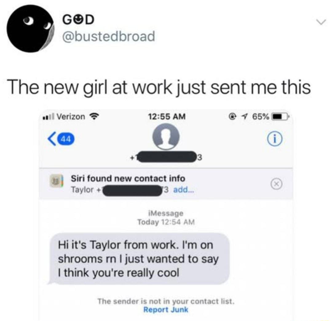 GD bustedbroad The new girl at work just sent me this Y e 0 c i Hiits Taylor from work Im on shrooms m just wanted to say Ithink youre really cool