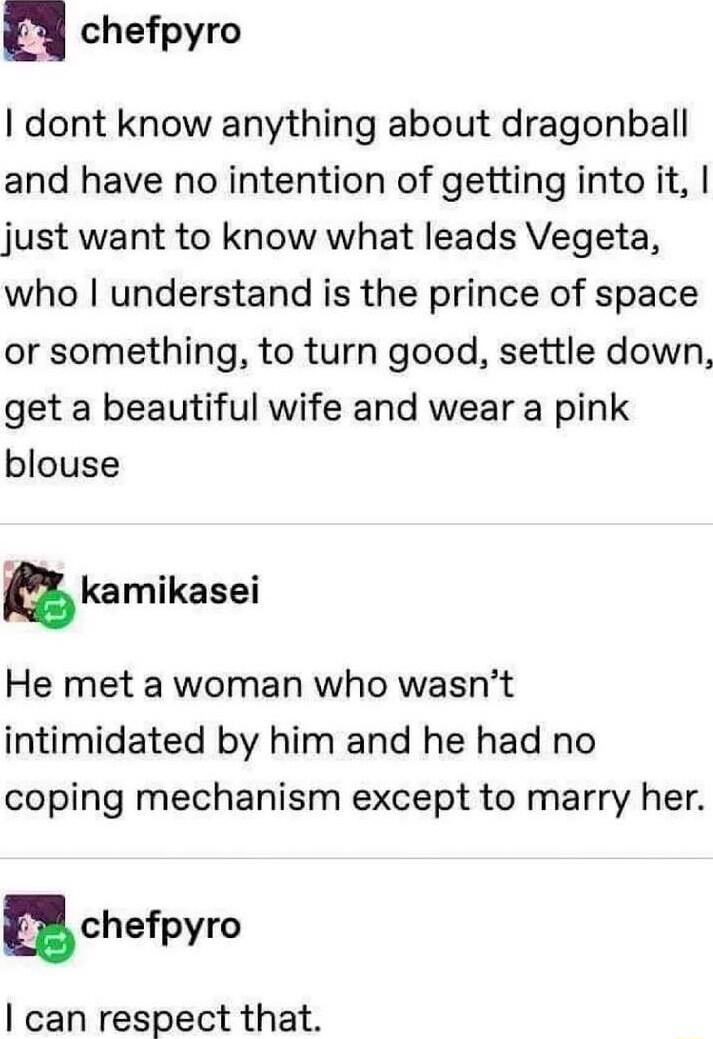 n chefpyro dont know anything about dragonball and have no intention of getting into it just want to know what leads Vegeta who understand is the prince of space or something to turn good settle down get a beautiful wife and wear a pink blouse kamikasei He met a woman who wasnt intimidated by him and he had no coping mechanism except to marry her uchefpyro can respect that