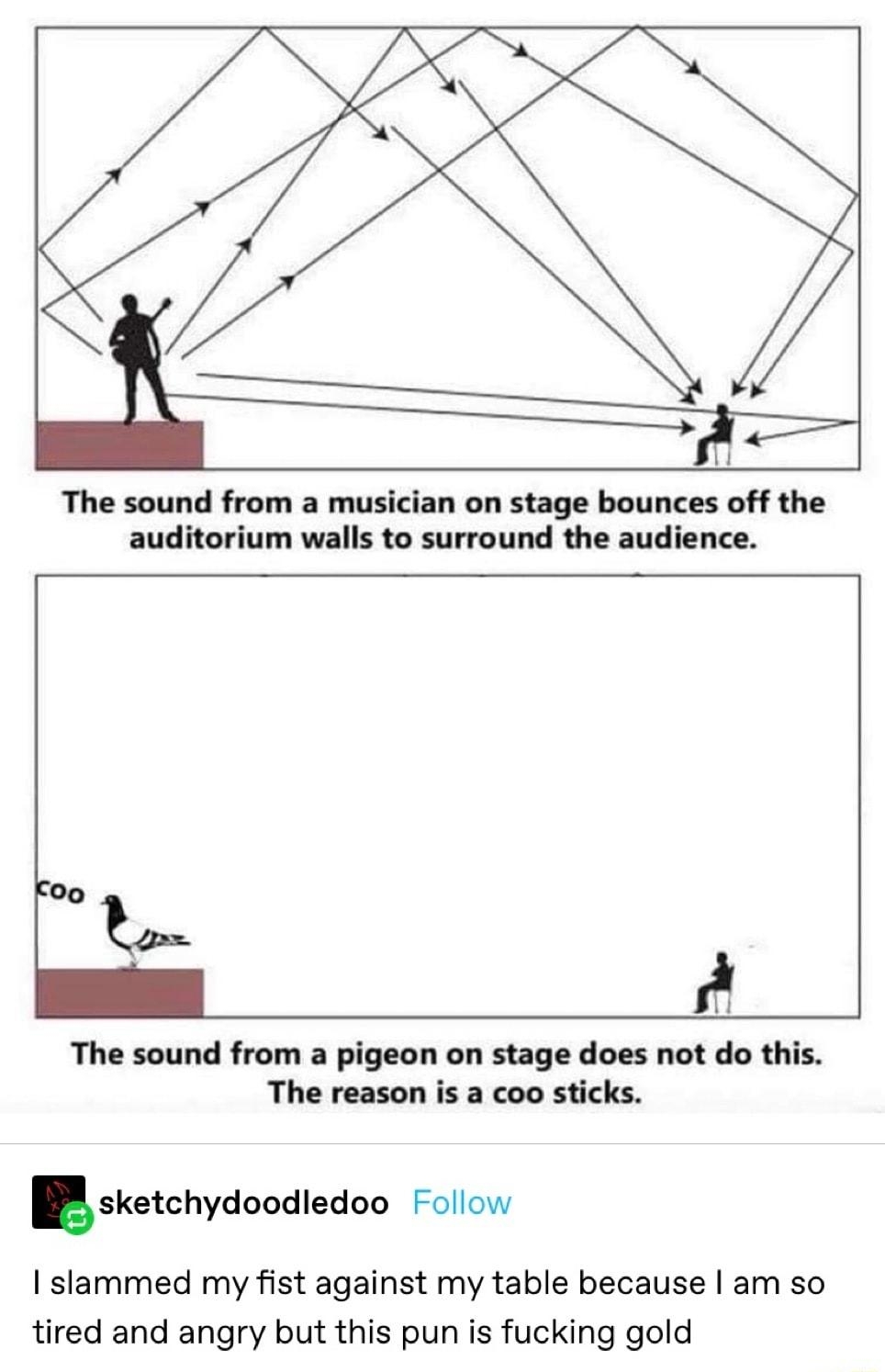 The sound from a musician on stage bounces off the auditorium walls to surround the audience The sound from a pigeon on stage does not do this The reason is a coo sticks sketchydoodledoo Follow slammed my fist against my table because am so tired and angry but this pun is fucking gold