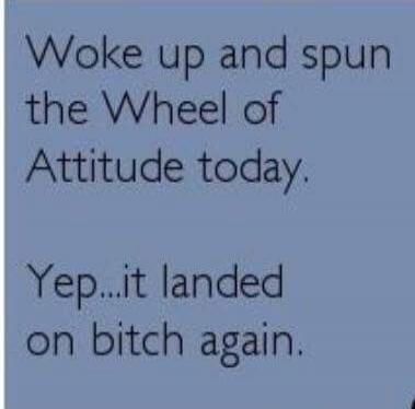 Woke up and spun the Wheel of Attitude today. Yep...it landed on bitch again.