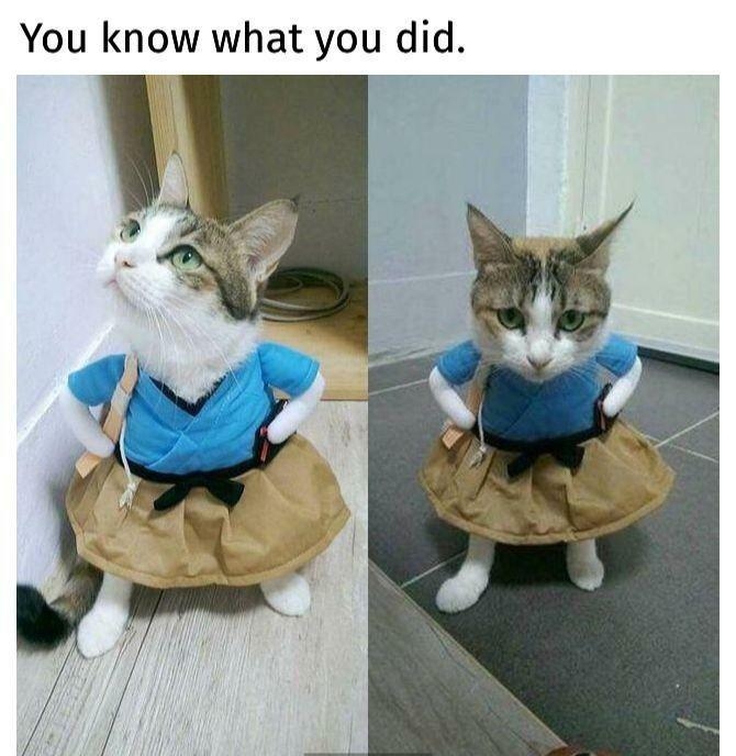 You know what you did 4