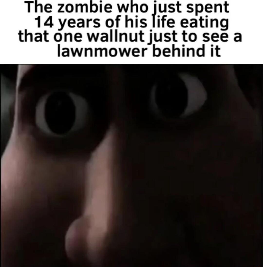 The zombie who just spent 14 years of his ife eating that one wallnut just to see a lawnmower behind it