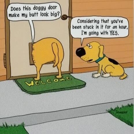 Does this doggy door make my butt look big? Considering that you've been stuck in it for an hour, I'm going with YES. WELCOME