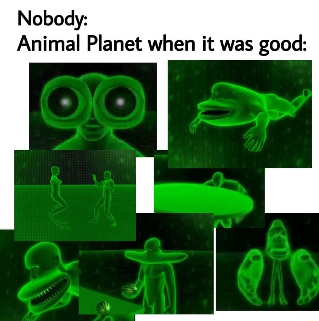 Nobody Animal Planet when it was good