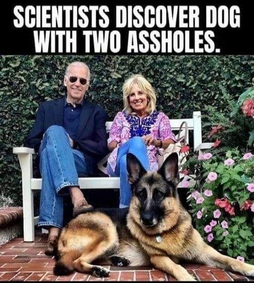 SCIENTISTS DISCOVER DOG WITH TWO ASSHOLES.