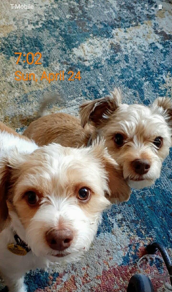 T-Mobile 7:02 Sun, April 24