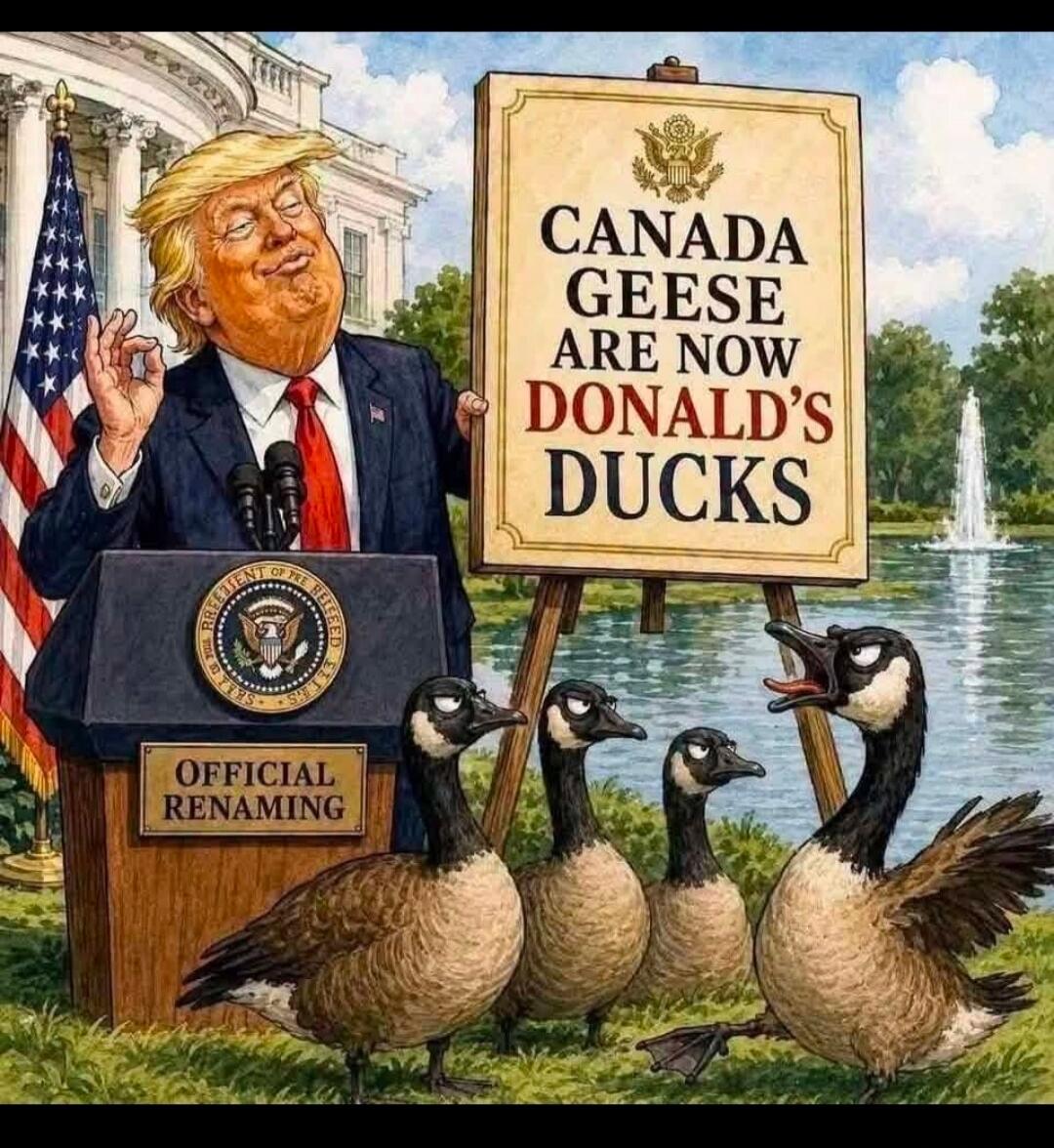 OFFICIAL RENAMING. CANADA GEESE ARE NOW DONALD'S DUCKS.