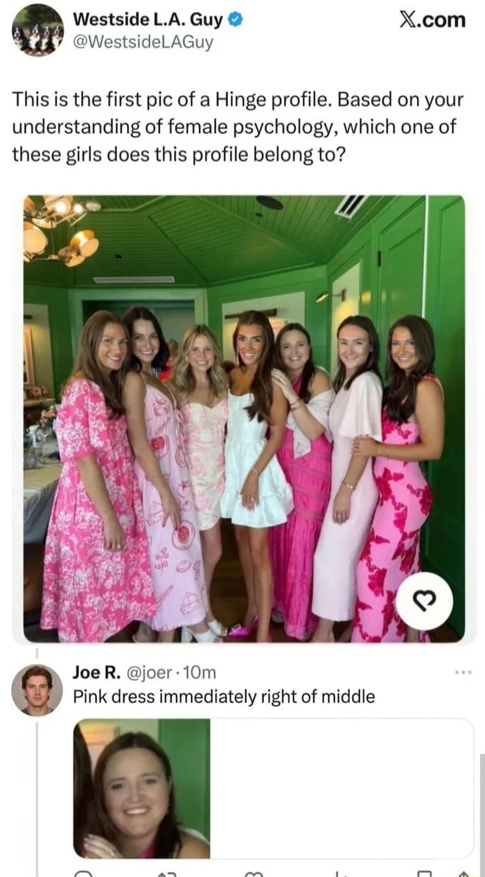 Westside L.A. Guy @WestsideLAGuy X.com This is the first pic of a Hinge profile. Based on your understanding of female psychology, which one of these girls does this profile belong to? Joe R. @joer 10m Pink dress immediately right of middle