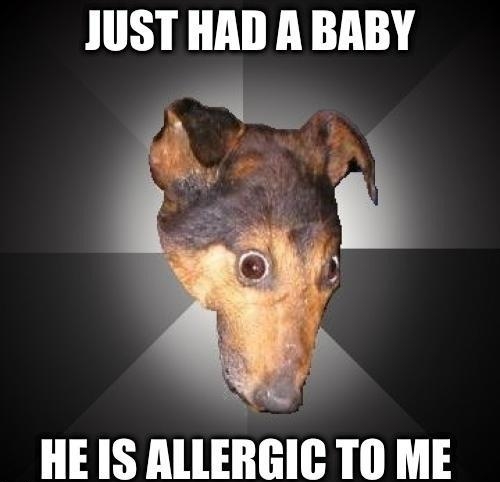 JUST HAD A BABY HE IS ALLERGIC TO ME