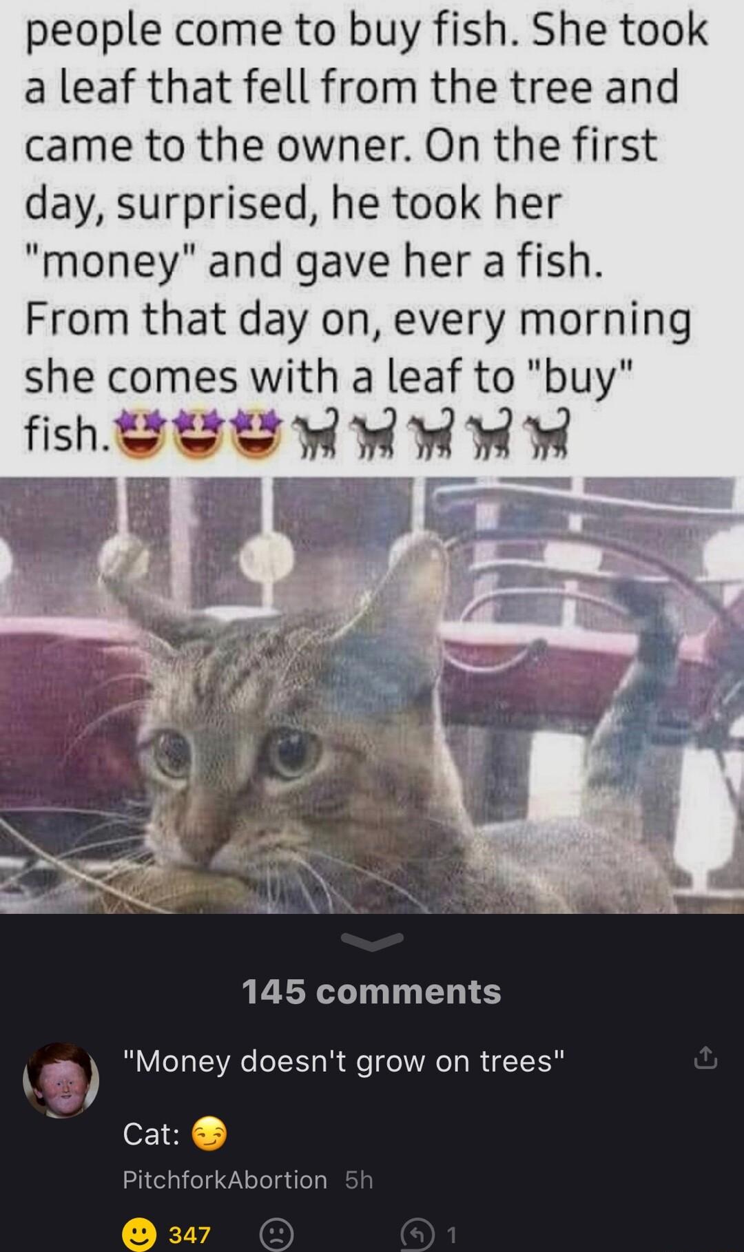 people come to buy fish She took a leaf that fell from the tree and came to the owner On the first day surprised he took her money and gave her a fish From that day on every morning she comes with a leaf to buy fsh G E W 3 W W W 354 145 comments Money doesnt grow on trees