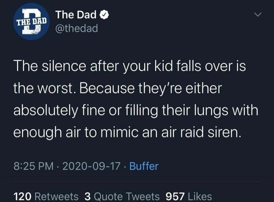 The silence after your kid falls over is the worst. Because they're either absolutely fine or filling their lungs with enough air to mimic an air raid siren.