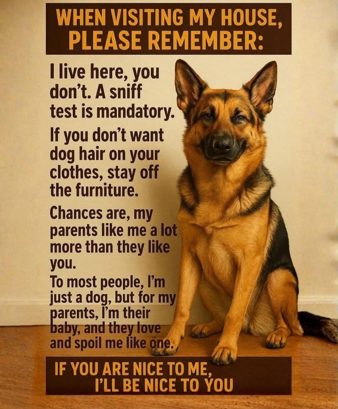 WHEN VISITING MY HOUSE, PLEASE REMEMBER:
I live here, you don’t. A sniff test is mandatory. If you don’t want dog hair on your clothes, stay off the furniture. Chances are, my parents like me a lot more than they like you. To most people, I’m just a dog, but for my parents, I’m their baby, and they love and spoil me like one.
IF YOU ARE NICE TO ME,