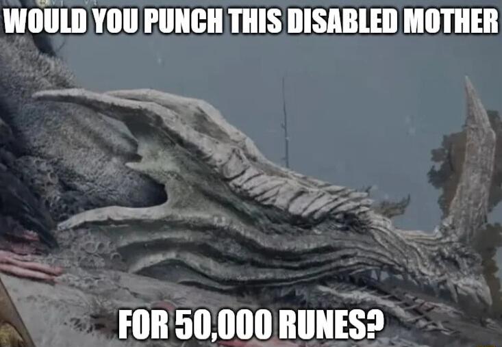 WOULD YOU PUNCHTHIS DISABLED MOTHER